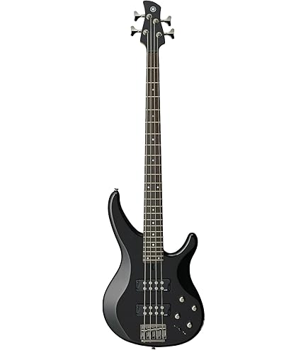 Amazon.com: Ibanez SR Standard 4-string Electric Bass - Black Ice
